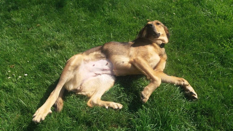 Foto Carmela