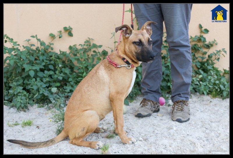 Foto Lorca