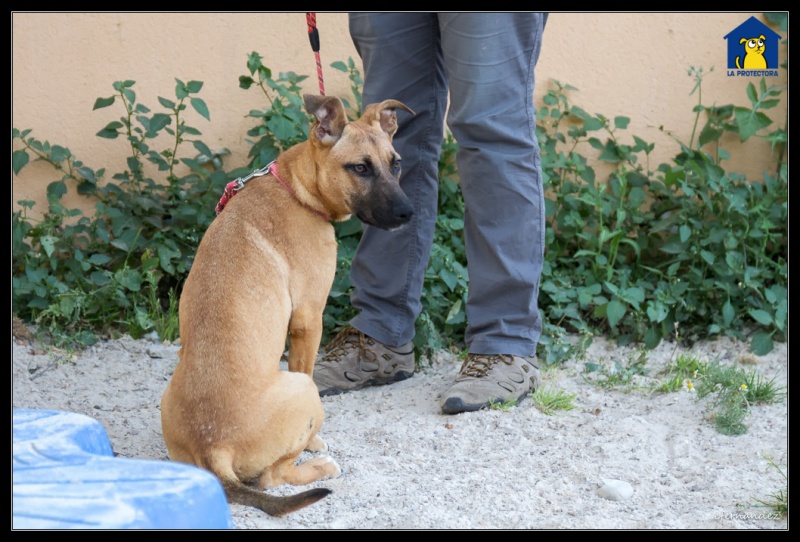 Foto Lorca