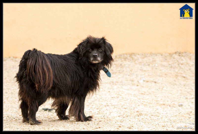 Foto Marley