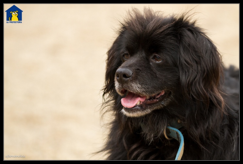 Foto Marley