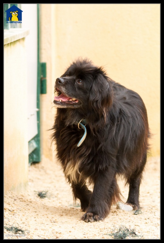 Foto Marley