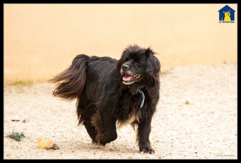 Foto Marley