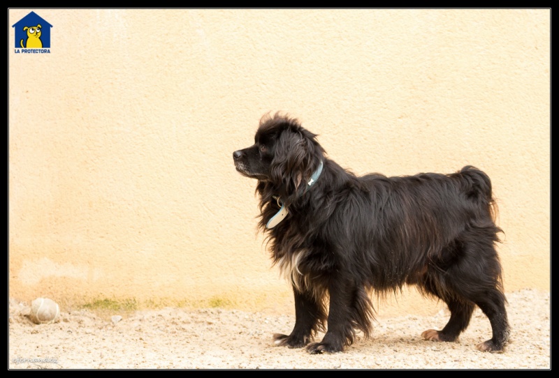 Foto Marley