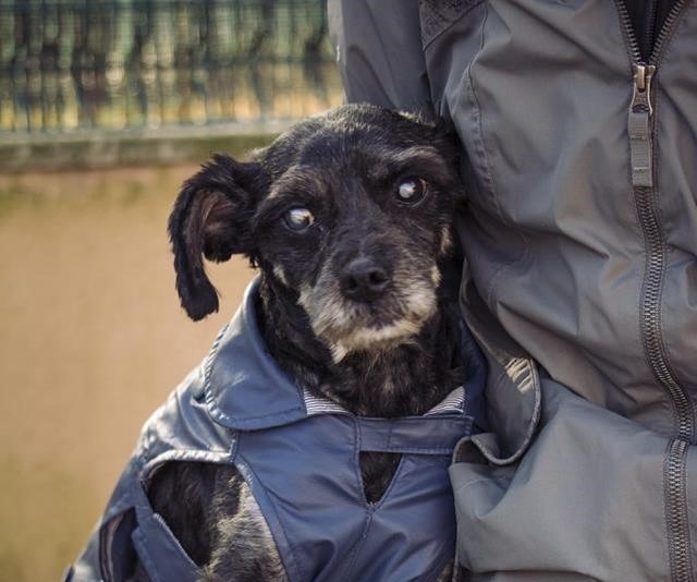 Foto Eneko
