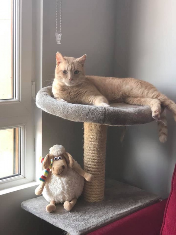 Foto Portu