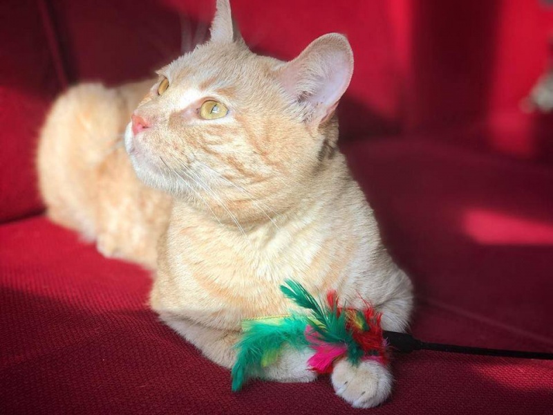 Foto Portu