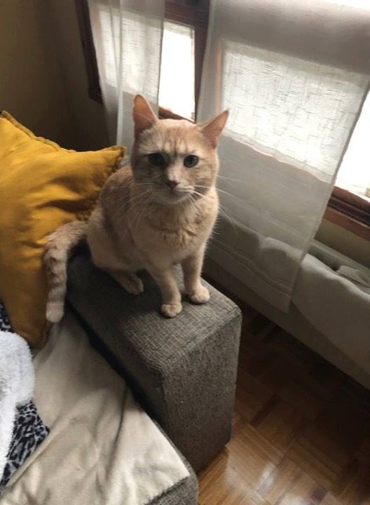 Foto Portu
