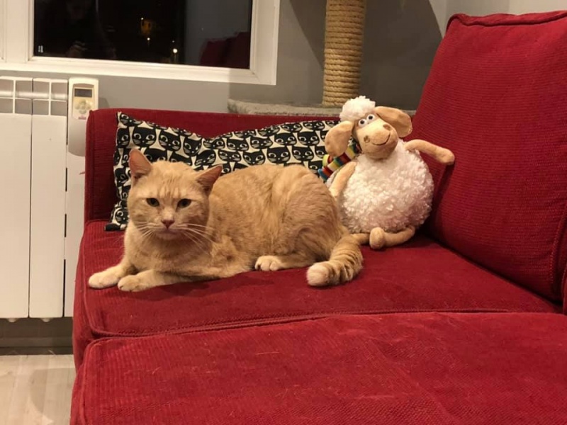 Foto Portu