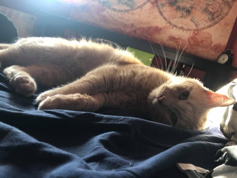 Foto Portu