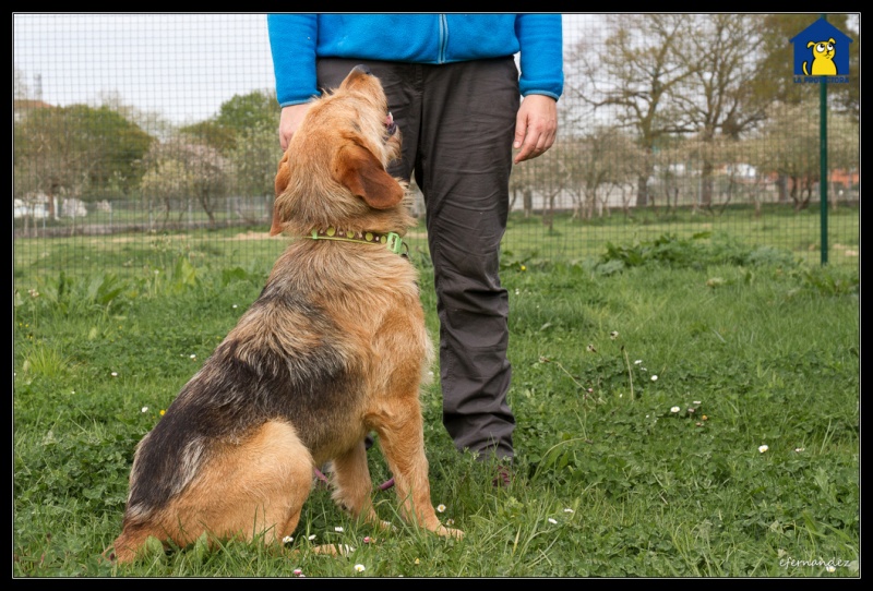 Foto Rolo