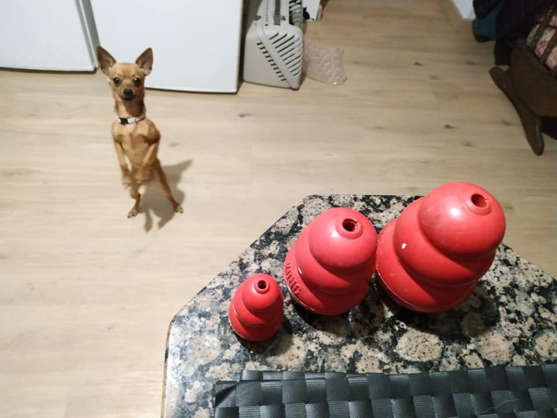 Foto Pia
