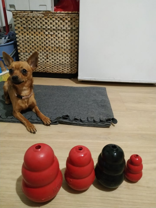 Foto Pia