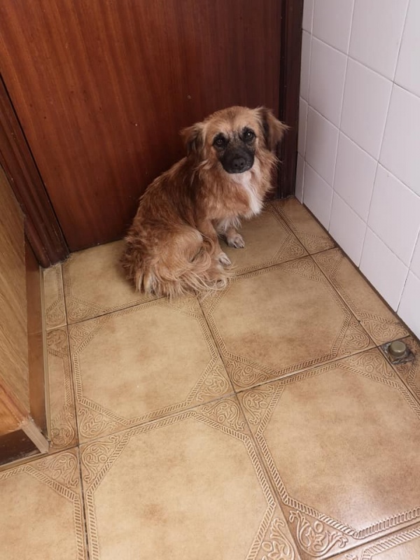 Foto Boxi