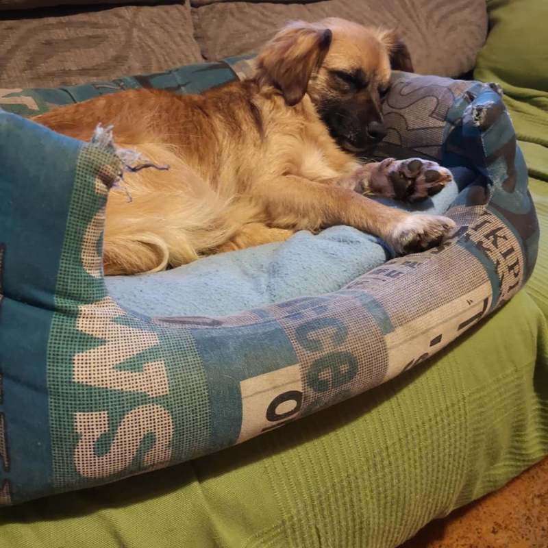 Foto Boxi