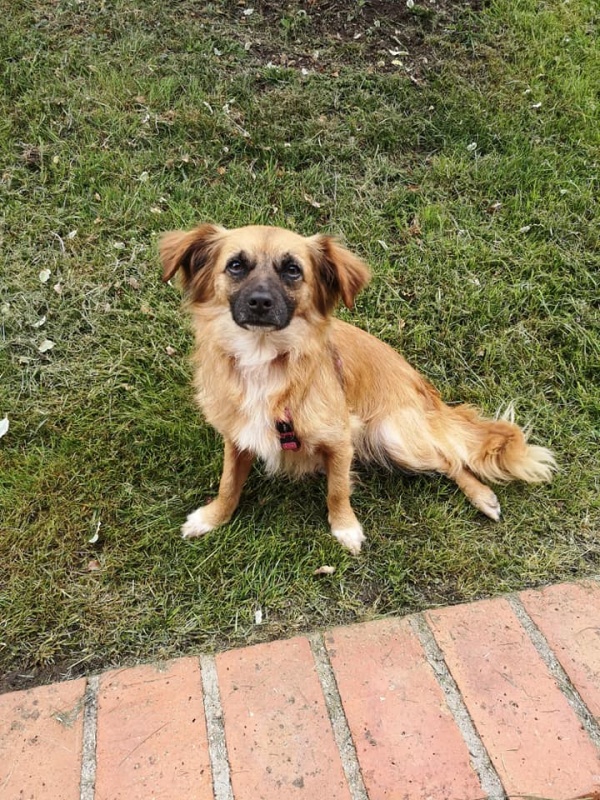 Foto Boxi