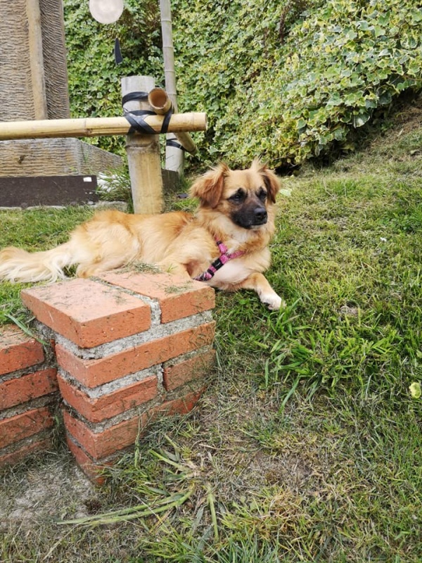 Foto Boxi