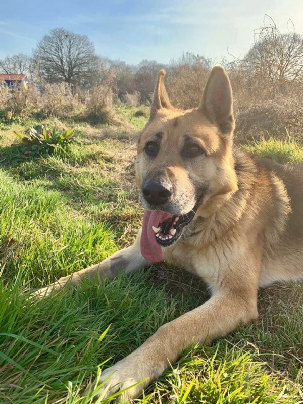 Foto Pluto