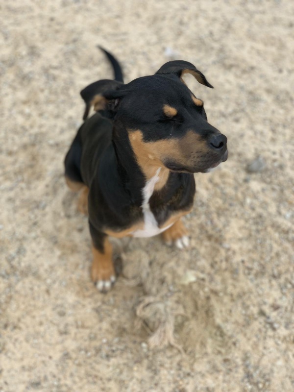 Foto Truco