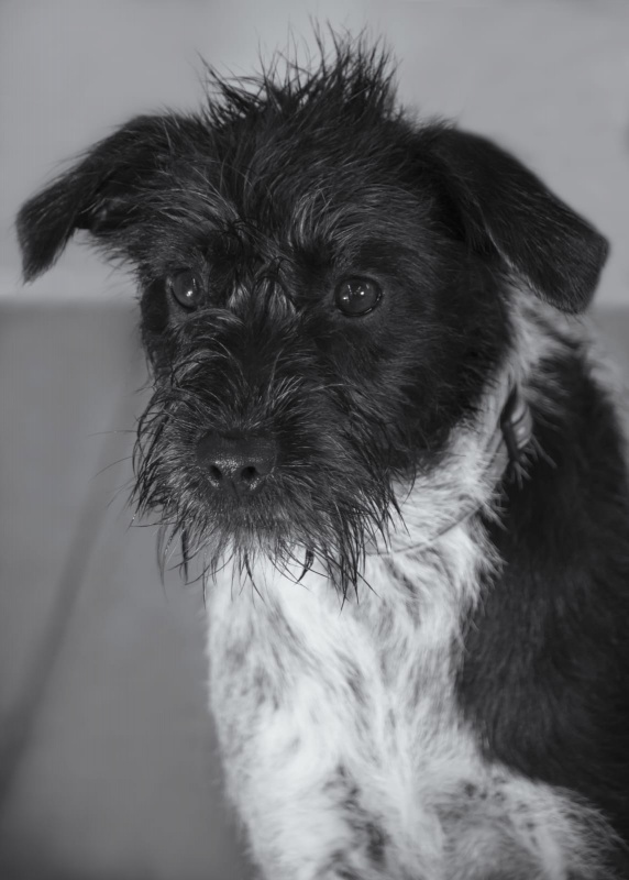 Foto Nika