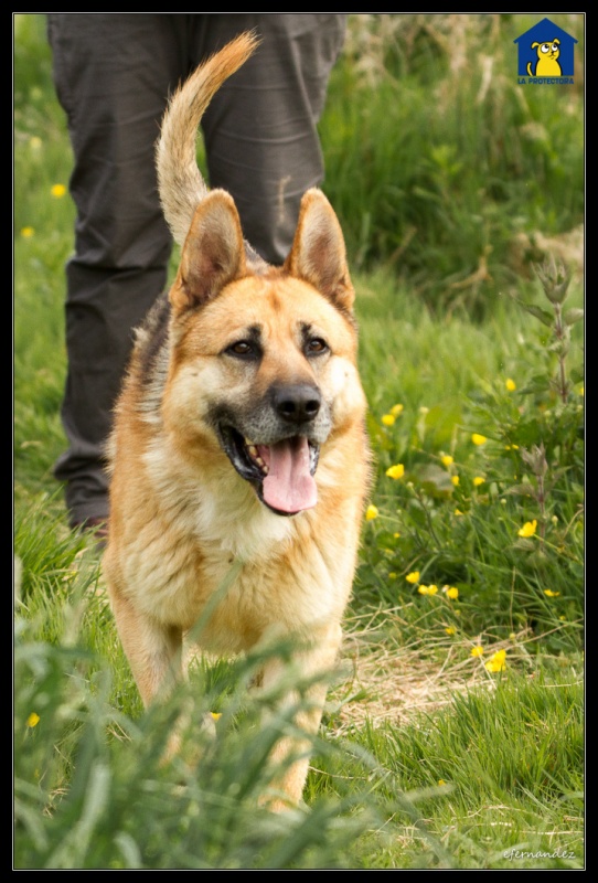 Foto Pluto