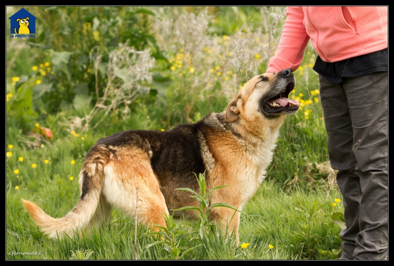 Foto Pluto