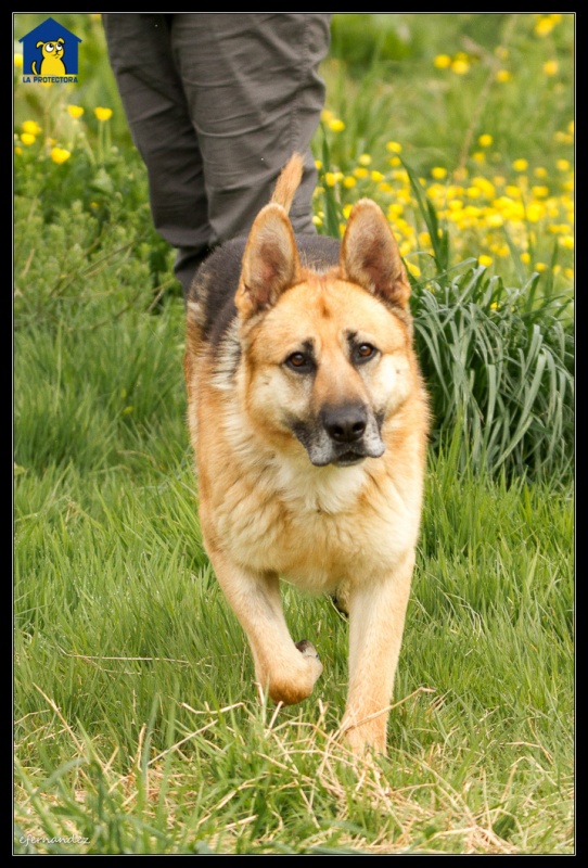 Foto Pluto