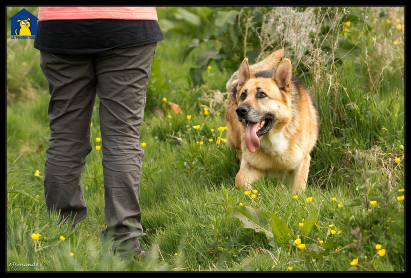 Foto Pluto