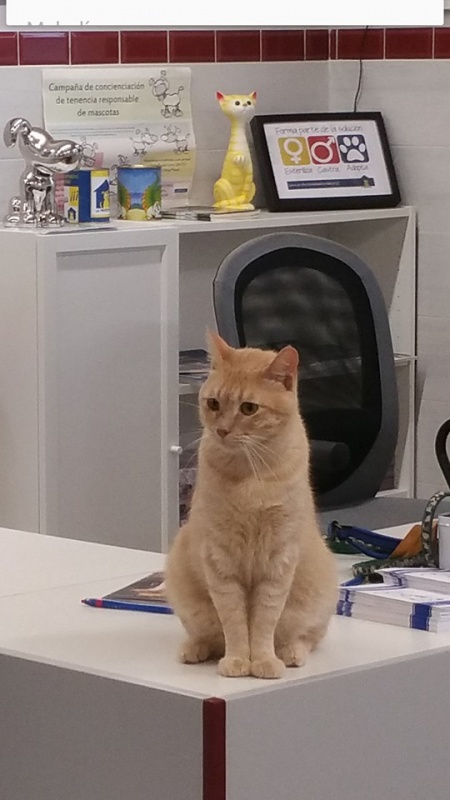 Foto Portu
