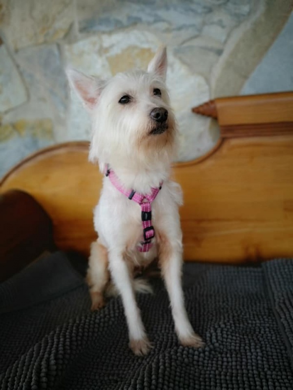 Foto Suri