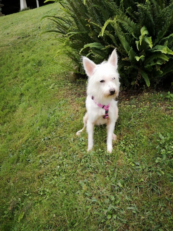 Foto Suri
