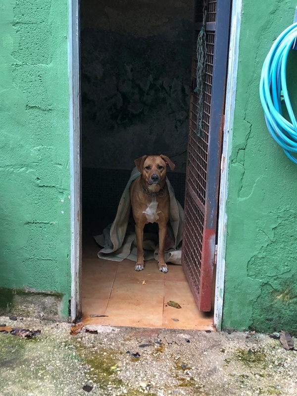 Foto Enano