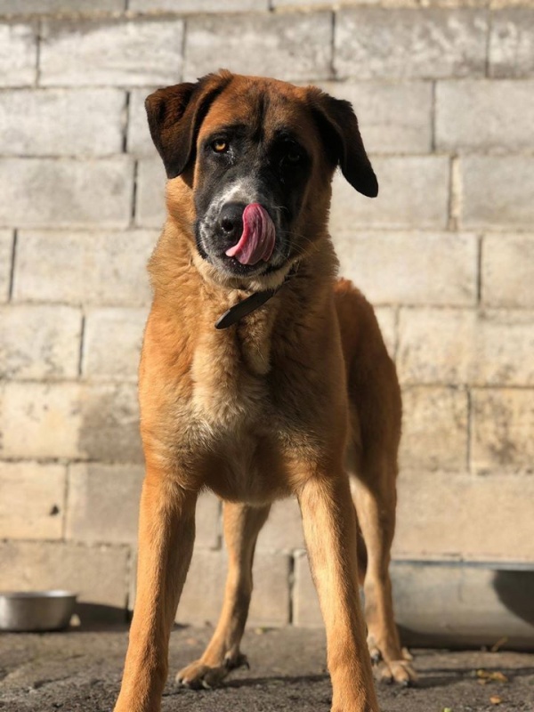 Foto Inca