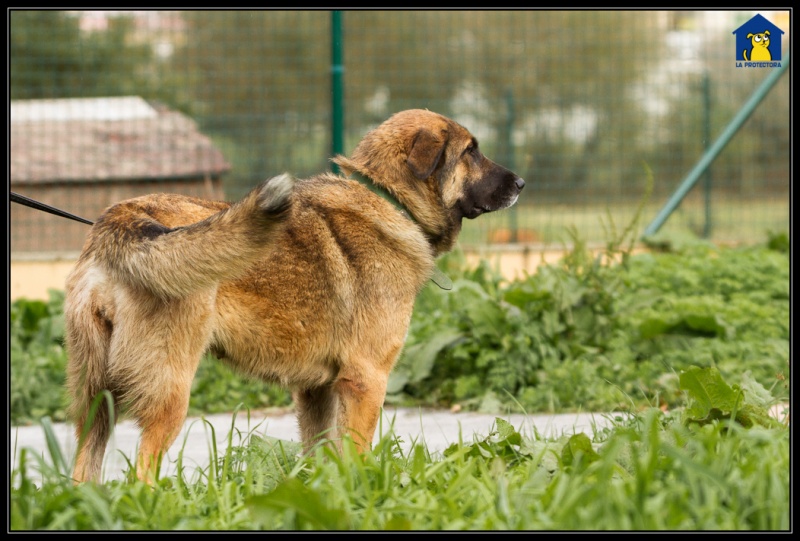 Foto Seronda