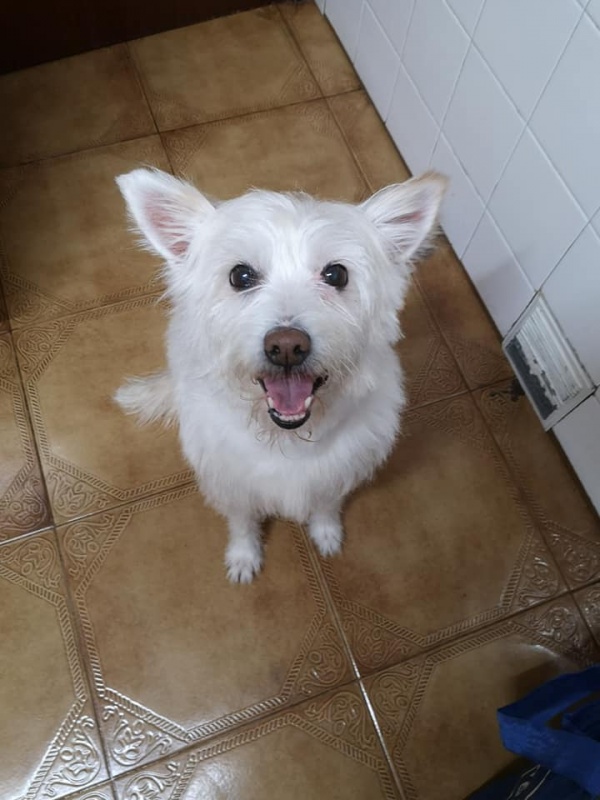 Foto Suri