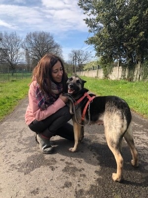 Foto Laika