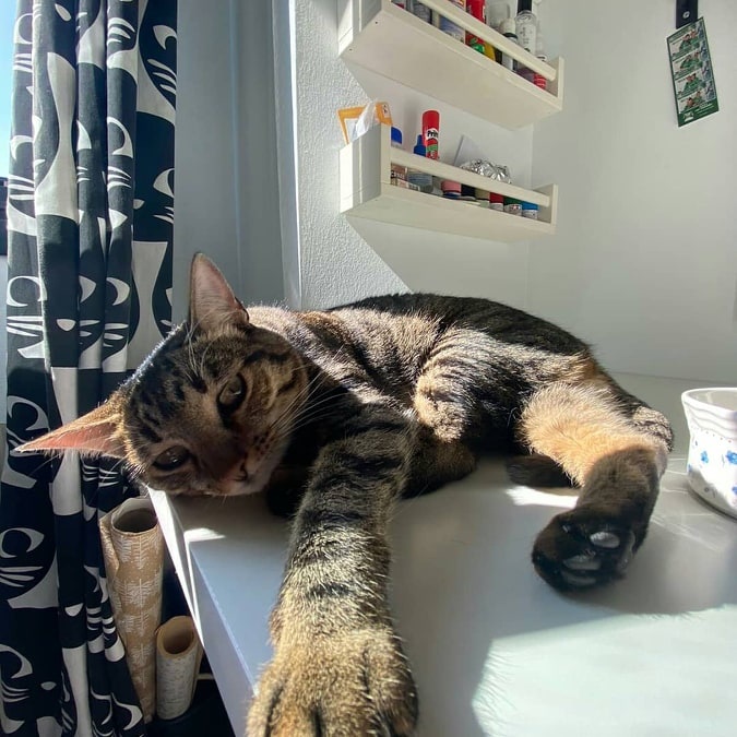 Foto Coco