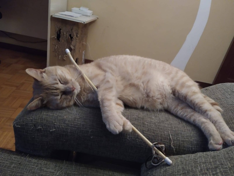 Foto Portu