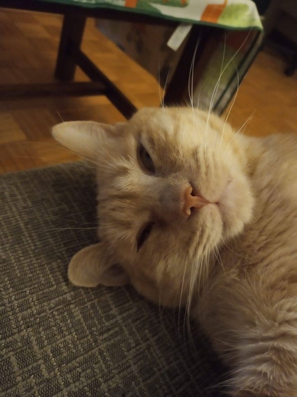 Foto Portu