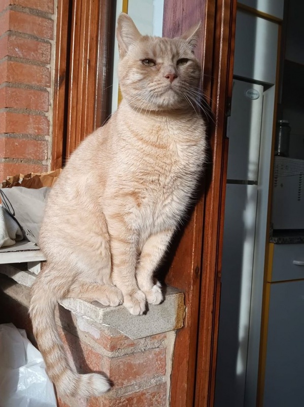 Foto Portu