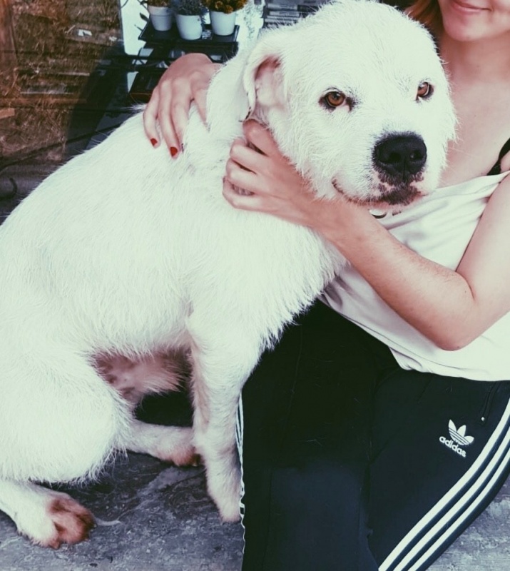 Foto Gordo