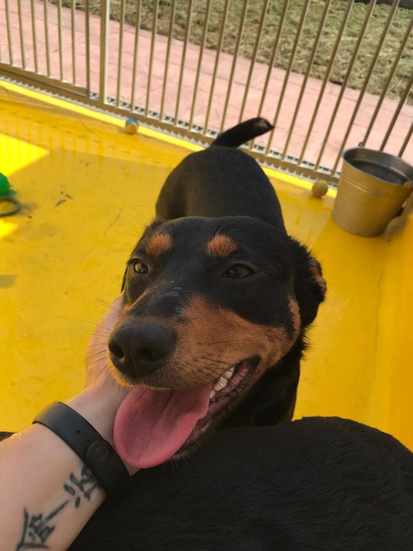 Foto Guinea