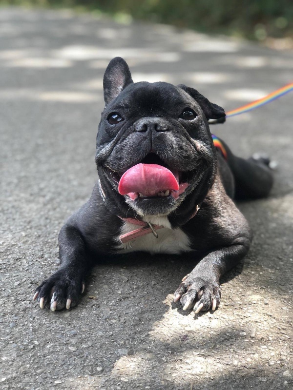 Foto Minnie