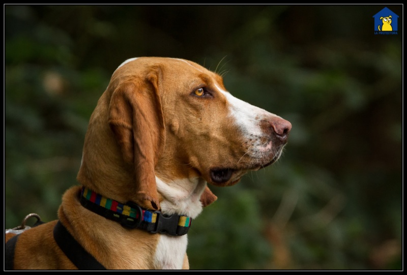Foto Bimba