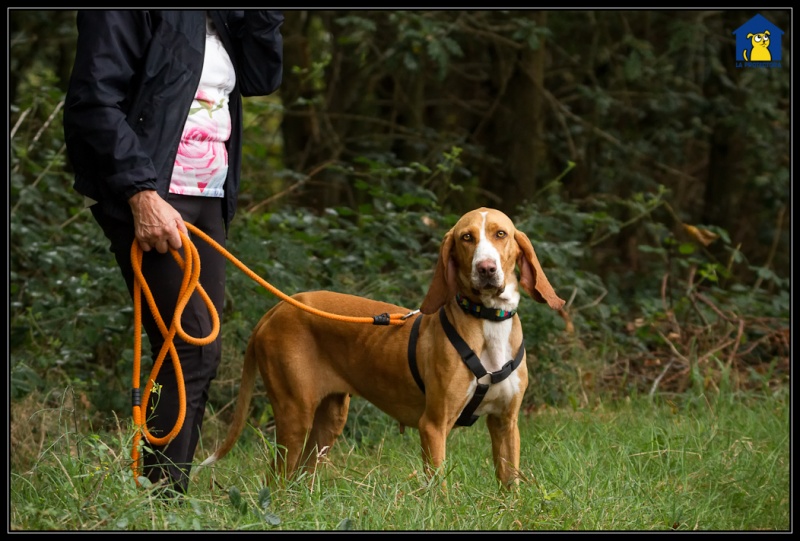 Foto Bimba