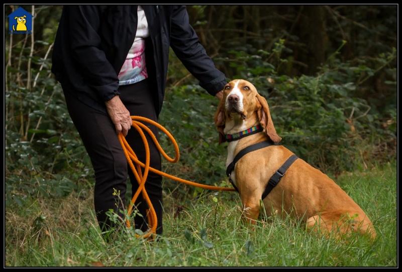 Foto Bimba