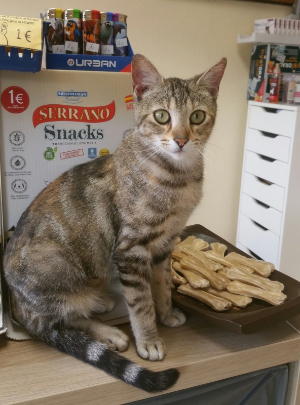 Foto Gretel