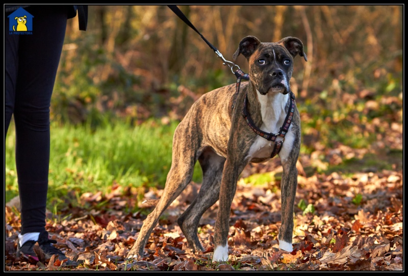 Foto Heidi