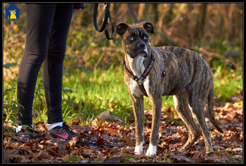 Foto Heidi