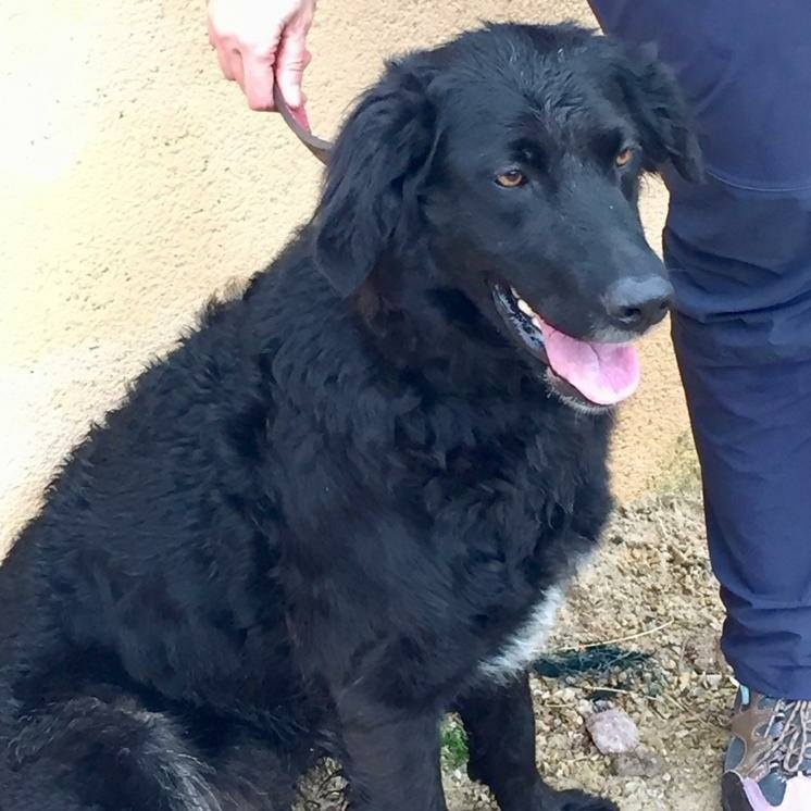 Foto Kira